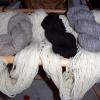 Echeveaux de laines brutes françaises, non teintes et non traitées (massif central)