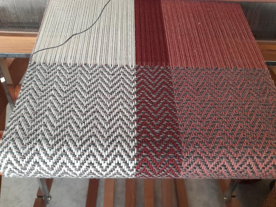 402325095 3718868225105545 4444114212369547812 n