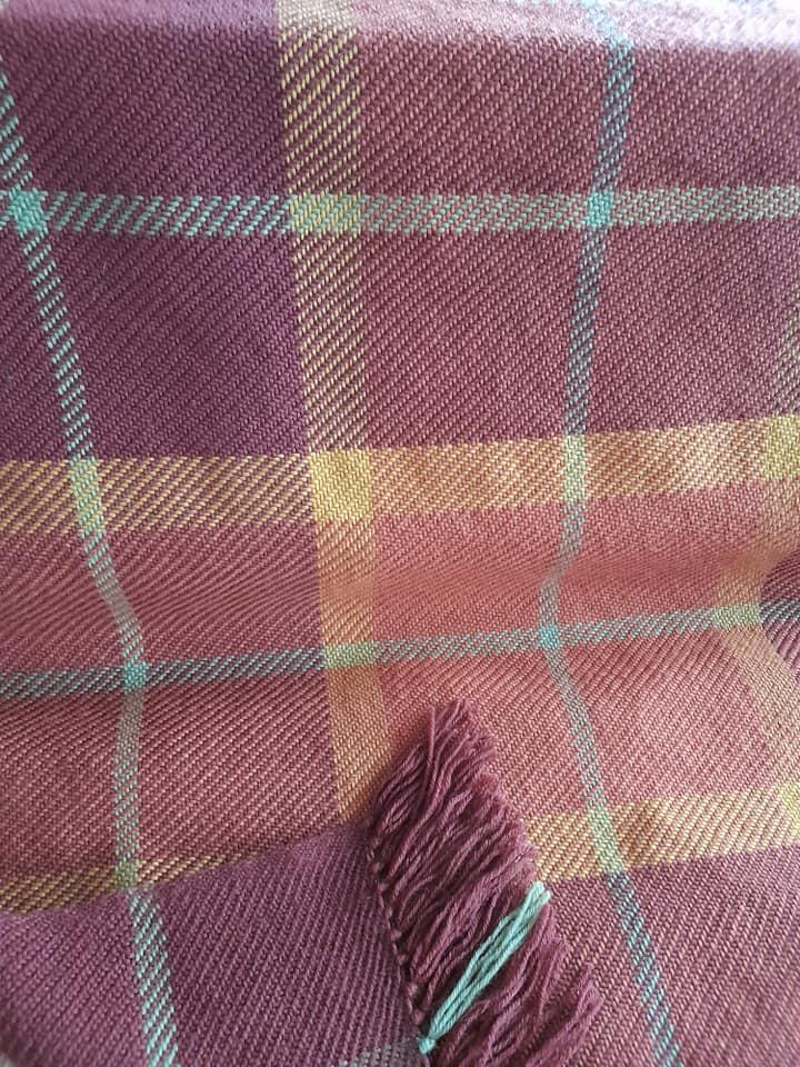 424752642 3800928740232826 6721332341205025890 n