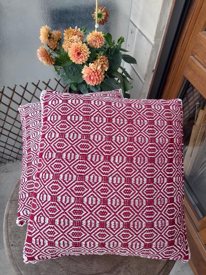 438100493 3871885699803796 5228223163102860673 n