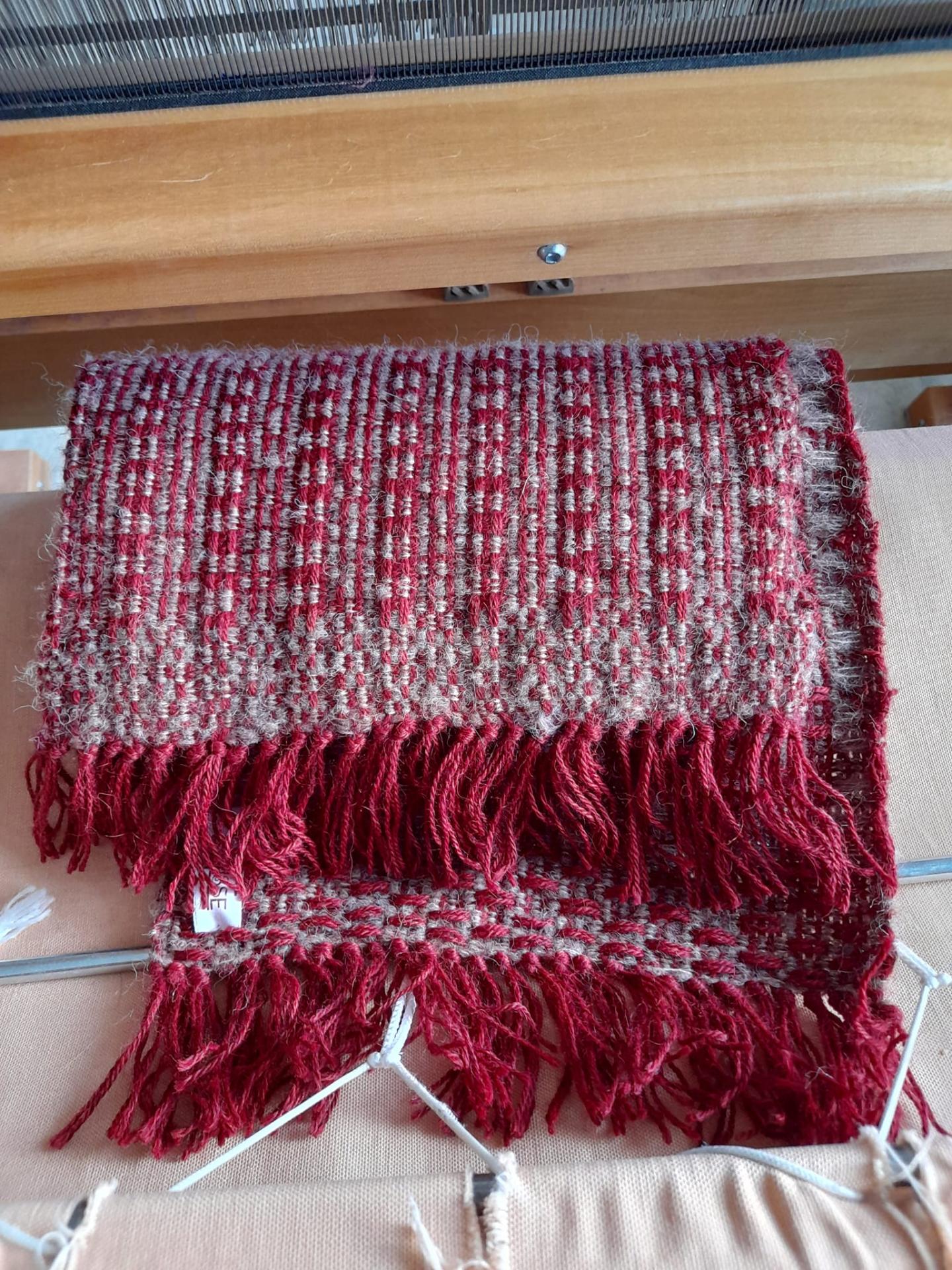 462003048 4042257786099919 1636461512400205189 n