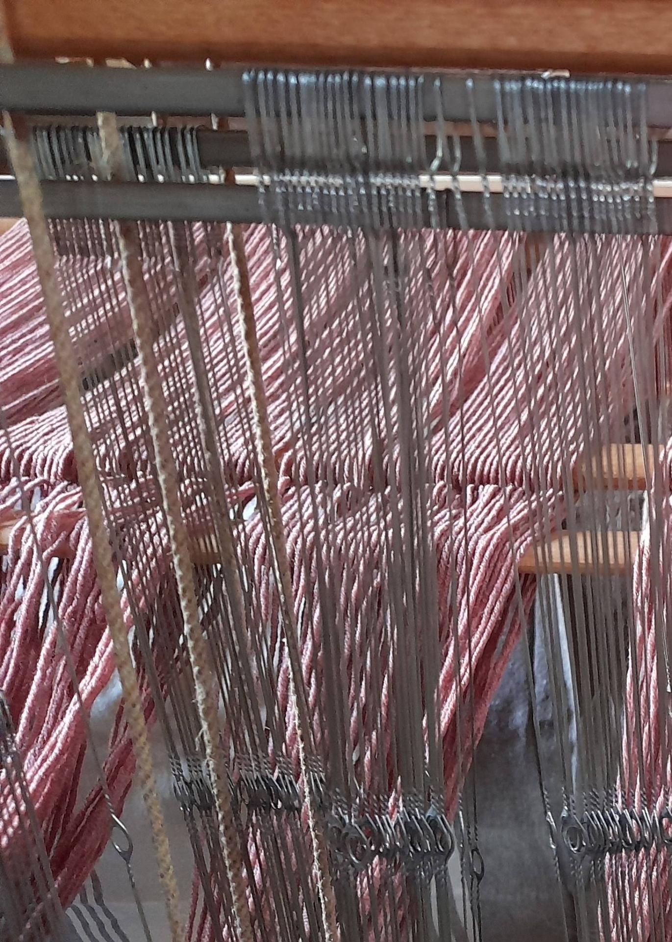 657278314 1769353051095992 9198085853800715937 n